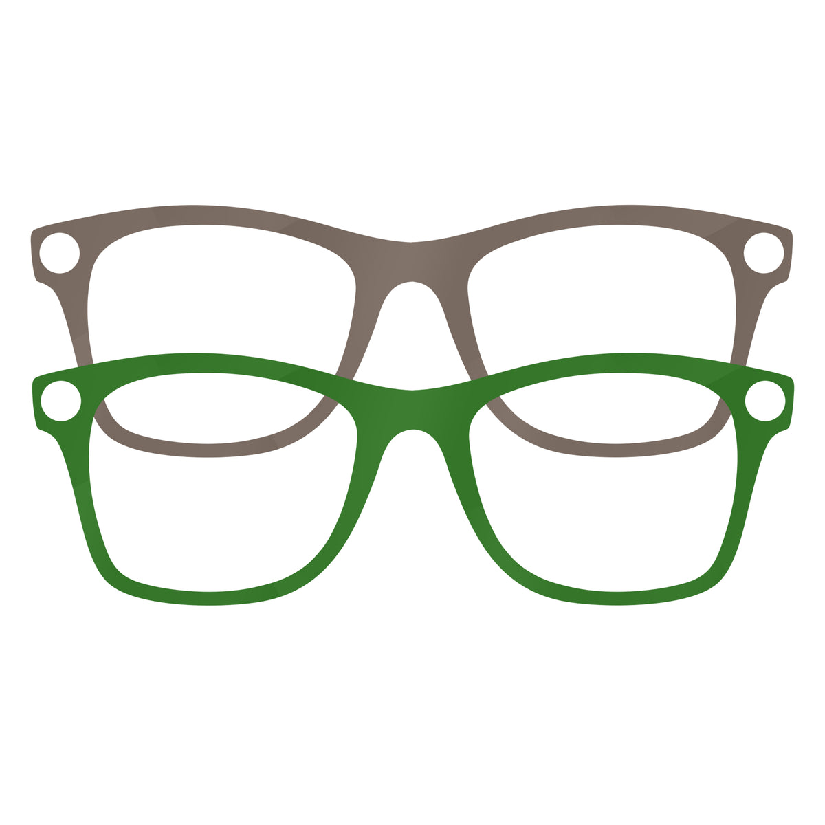 Wayfarer AI Glasses Wrap - Botanical Set