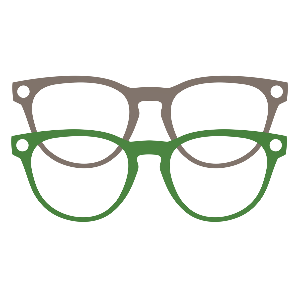 Headliner AI Glasses Wrap - Botanical Set